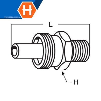Insert en laiton frein à air DOT 338B - tube x M.NPT