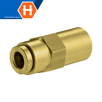 Brass air brake 18XX connector - tube x F.NPT
