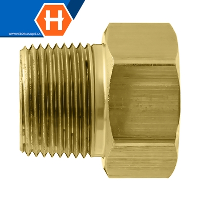 Connecteur laiton - fem. « flare » inversé x M.NPT