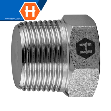 Bouchon hex M.NPT