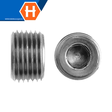 Bouchon hex socket M.NPT