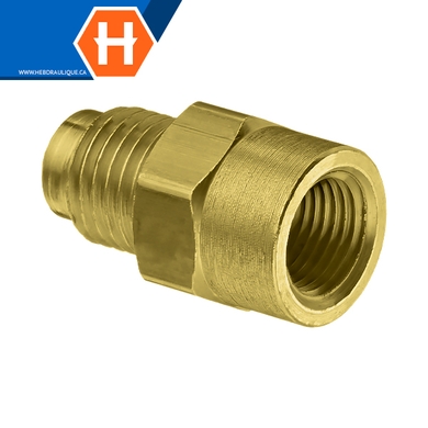 Connecteur laiton - M.SAE évasé 45° x F.NPT