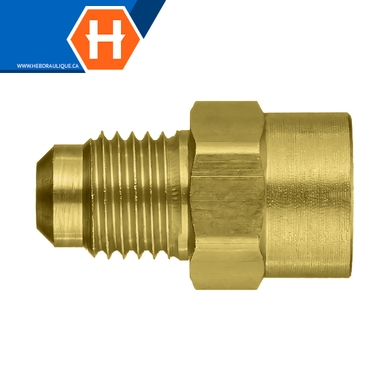 Connecteur laiton - M.SAE évasé 45° x F.NPT