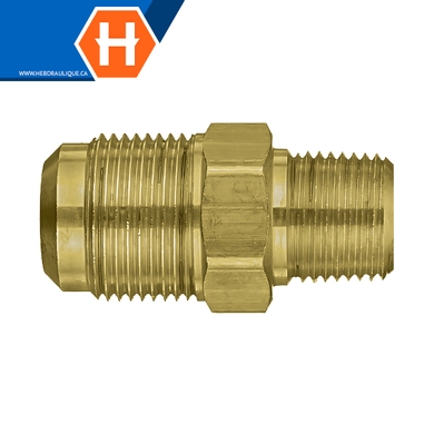 Connecteur laiton - M.SAE évasé 45° x M.NPT