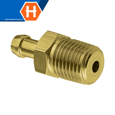 Adaptateur laiton - boyau x M.NPT rigide