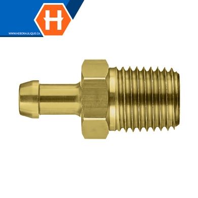 Adaptateur laiton - boyau x M.NPT rigide