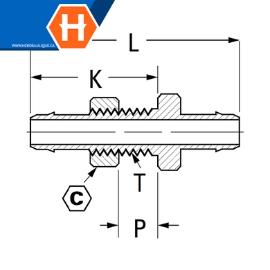 Adaptateur union 