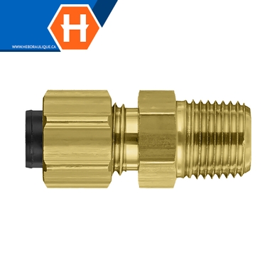Connecteur polyline flareless laiton - tube x M.NPT