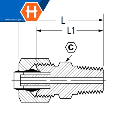 Connecteur polyline flareless laiton - tube x M.NPT