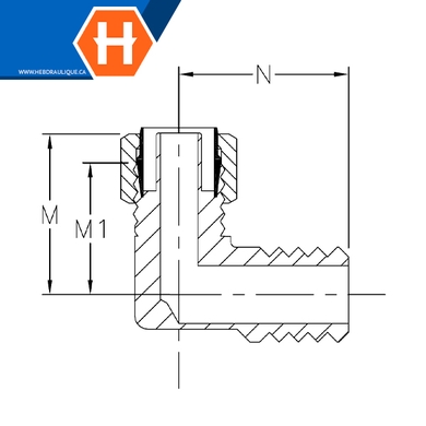 Adapt. polyline flareless 90° laiton - tube x M.NPT
