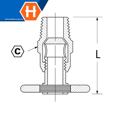 Valve de drain (siège interne) laiton - M.NPT