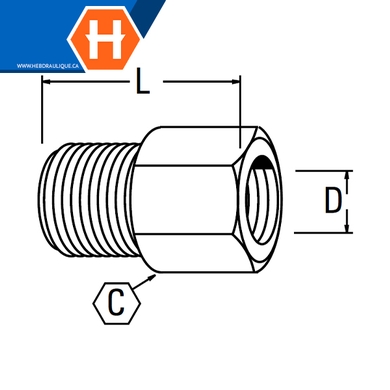 Adaptateur laiton Ford - M.NPT x conduit d'essence