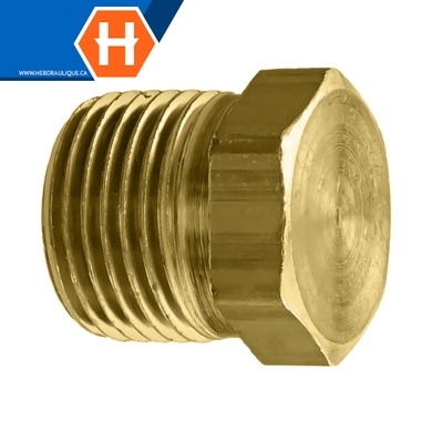 Bouchon à tête hex laiton - M.NPT