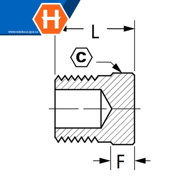Bouchon à tête hex laiton - M.NPT