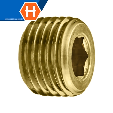 Bouchon creux hex laiton - M.NPT