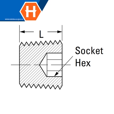 Bouchon creux hex laiton - M.NPT