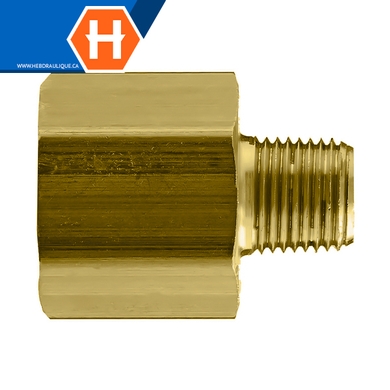 Adaptateur laiton - F.NPT x M.NPT