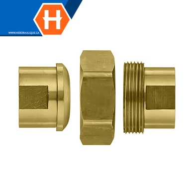 Adaptateur union laiton - F.NPT