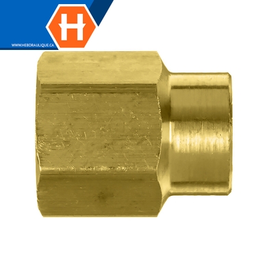 Adaptateur union réducteur laiton - F.NPT