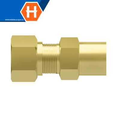 Connecteur compr. autocentré laiton - tube x F.NPT