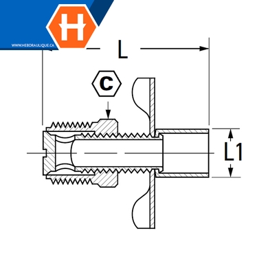 Valve de drain (siège externe) laiton - M.NPT