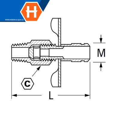 Valve de drain (siège interne) laiton - M.NPT