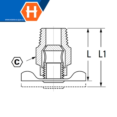 Valve de drain (siège interne) laiton - M.NPT