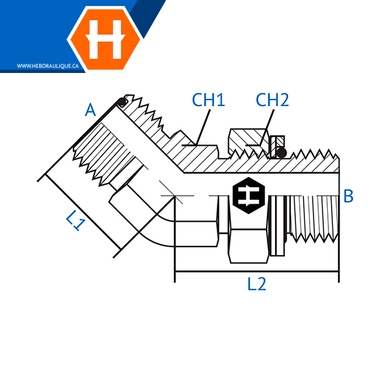 Adaptateur 45° M.ORFS x M.BSPP ajustable