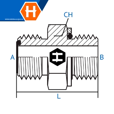 Adaptateur M.ORFS x M.Métrique
