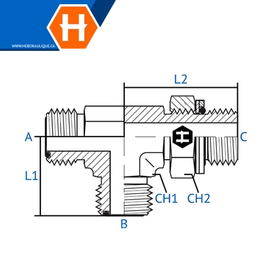 Adaptateur en T M.ORFS x M.BSPP en ligne ajustable