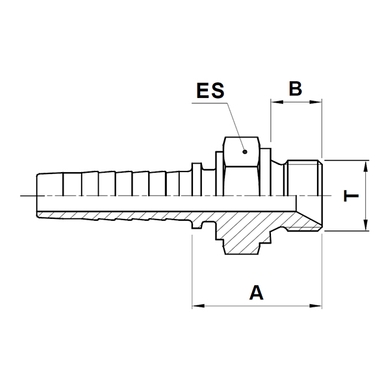Raccord 2pcs mâle BSPP
