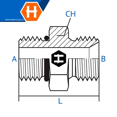 Adaptateur M.ORB x M.BSPP