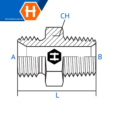 Adaptateur M.BSPP x M.NPT