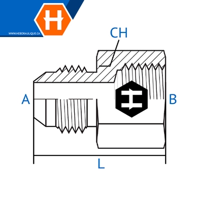 Adaptateur M.JIC x F.BSPP