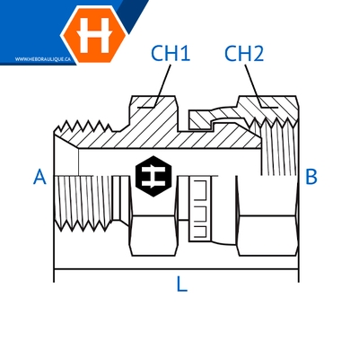 Adaptateur M.BSPP x F.BSPP tournant