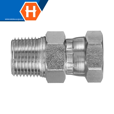 Adaptateur M.NPT x F.BSPP tournant