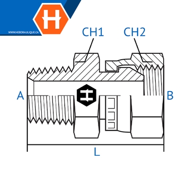 Adaptateur M.NPT x F.BSPP tournant