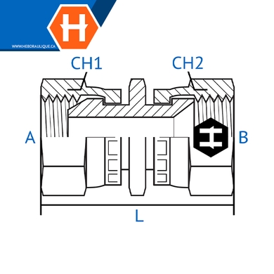 Adaptateur F.BSPP tournant x F.JIC tournant