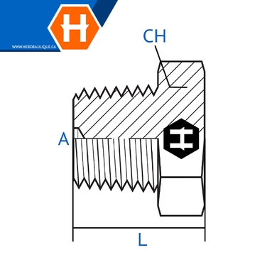 Bouchon M.BSPT avec tête hex