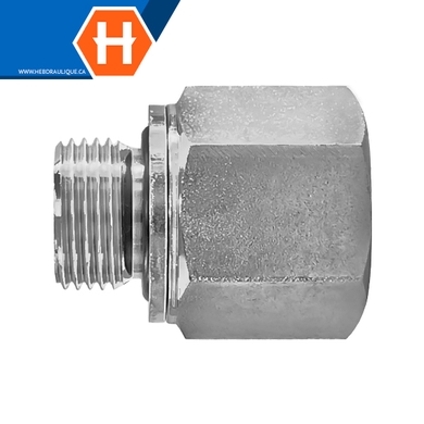 Adaptateur M.BSPP x F.NPT solide