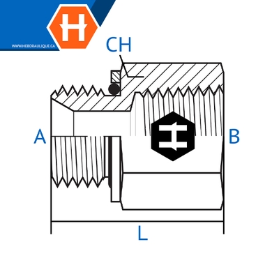 Adaptateur M.BSPP x F.NPT solide