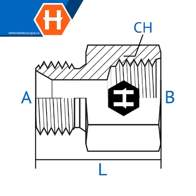 Adaptateur M.BSPP x F.ORB solide