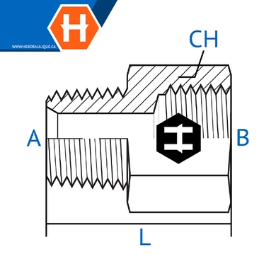 Adaptateur M.NPT x F.BSPP solide