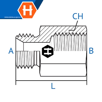 Adaptateur M.BSPP x F.BSPP long 