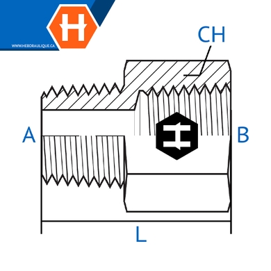 Adaptateur M.BSPT x F.NPT solide