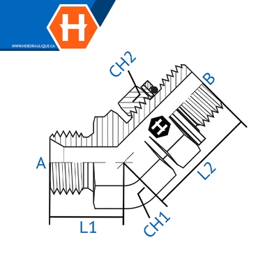 Adaptateur 45° M.BSPP x M.BSPP ajustable