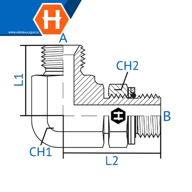 Adaptateur 90° M.BSPP x M.BSPP ajustable