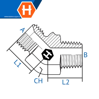 Adaptateur 45° M.BSPP x M.BSPT