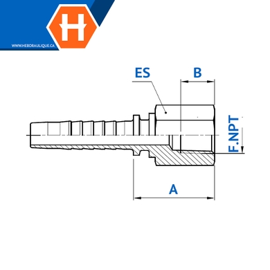 Raccord 2pcs fem. NPT fixe