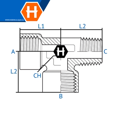 Adaptateur laiton en T F.BSPP x M.BSPT en ligne